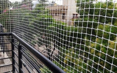 Pigeon Nets Installation Near Me in Bangalore | Call 9148831273
