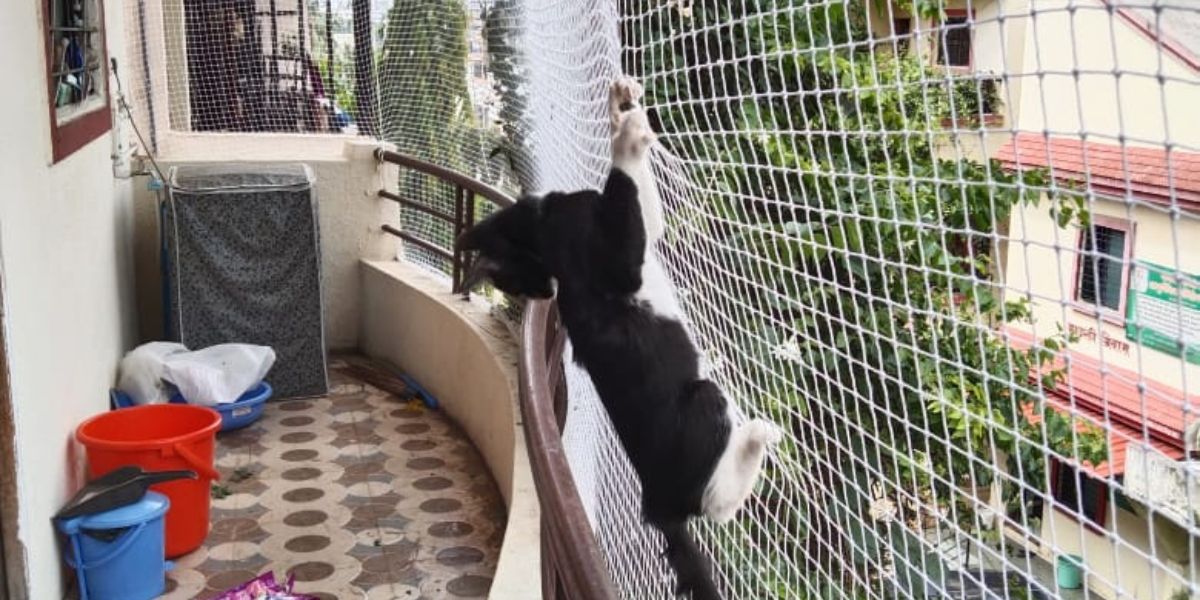 Pets Safety Nets for Open Areas in Bangalore | Call 9148831273