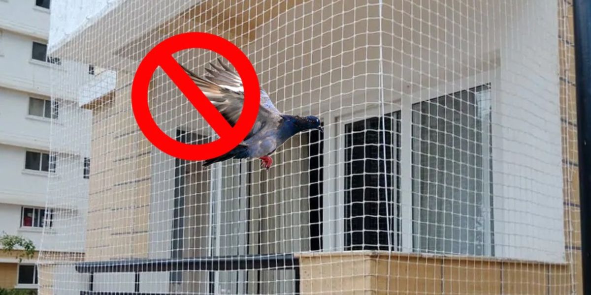 Pigeon Nets Fixing Near Me in Bangalore | Call 9148831273 Quote